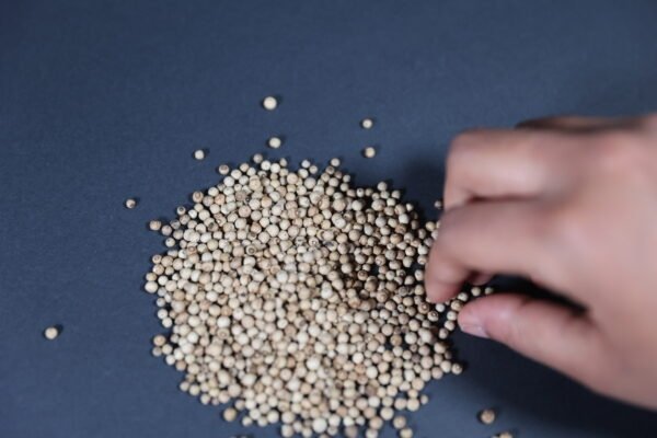Poivre blanc de Penja en grains