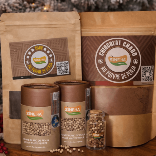 ChatGPT Image Mar 4, 2026, 10_33_07 AM